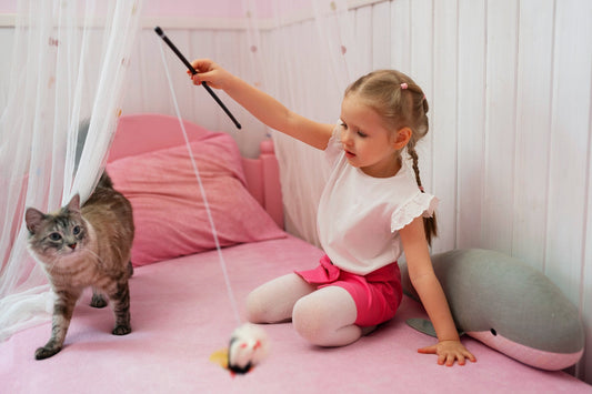 Why Cats Need Interactive Play
