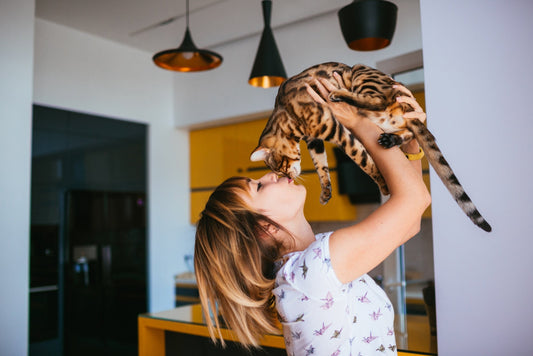 Simple Ways To Keep Indoor Cats Happy